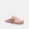 Archival Buckle Clog in Signature Jacquard Canvas