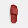Bay Slide in Signature
