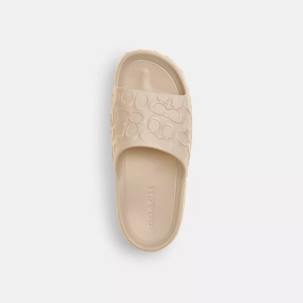 Bay Slide in Signature