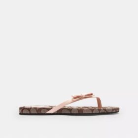 Bow Flip Flop in Signature Jacquard