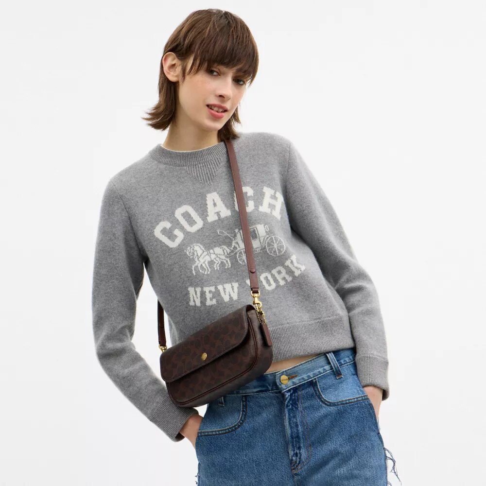 Brook Flap Chain Bag in Signature Canvas