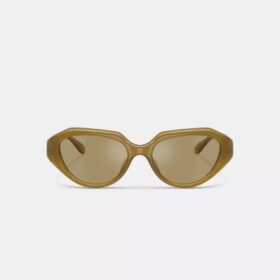 C Hardware Geometric Sunglasses