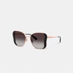 C Hardware Metal Butterfly Square Sunglasses