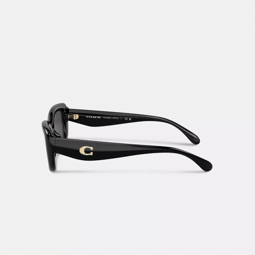 C Hardware Narrow Rectangle Sunglasses