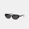 C Hardware Oval Cat Eye Sunglasses