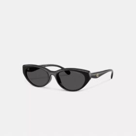 C Hardware Oval Cat Eye Sunglasses