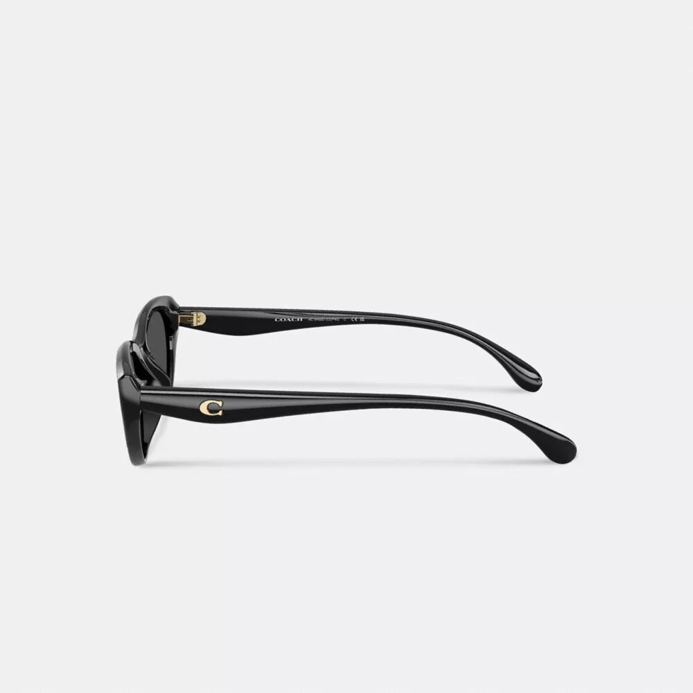 C Hardware Oval Cat Eye Sunglasses