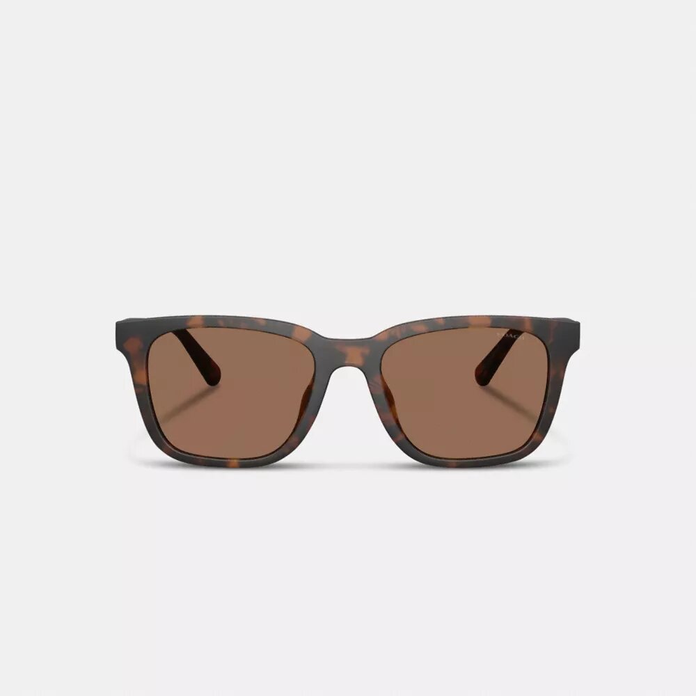 C Hardware Textured Temple Square Sunglasses