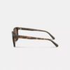 C Hardware Textured Temple Square Sunglasses