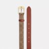 C Harness Buckle Belt, 25 Mm