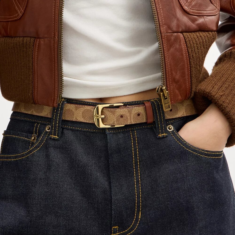 C Harness Buckle Belt, 25 Mm