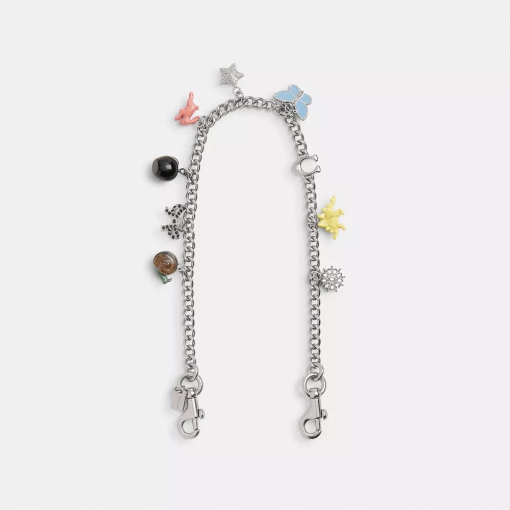 Chain Strap with Charms