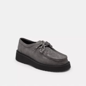 Chukka Boot in Signature Suede