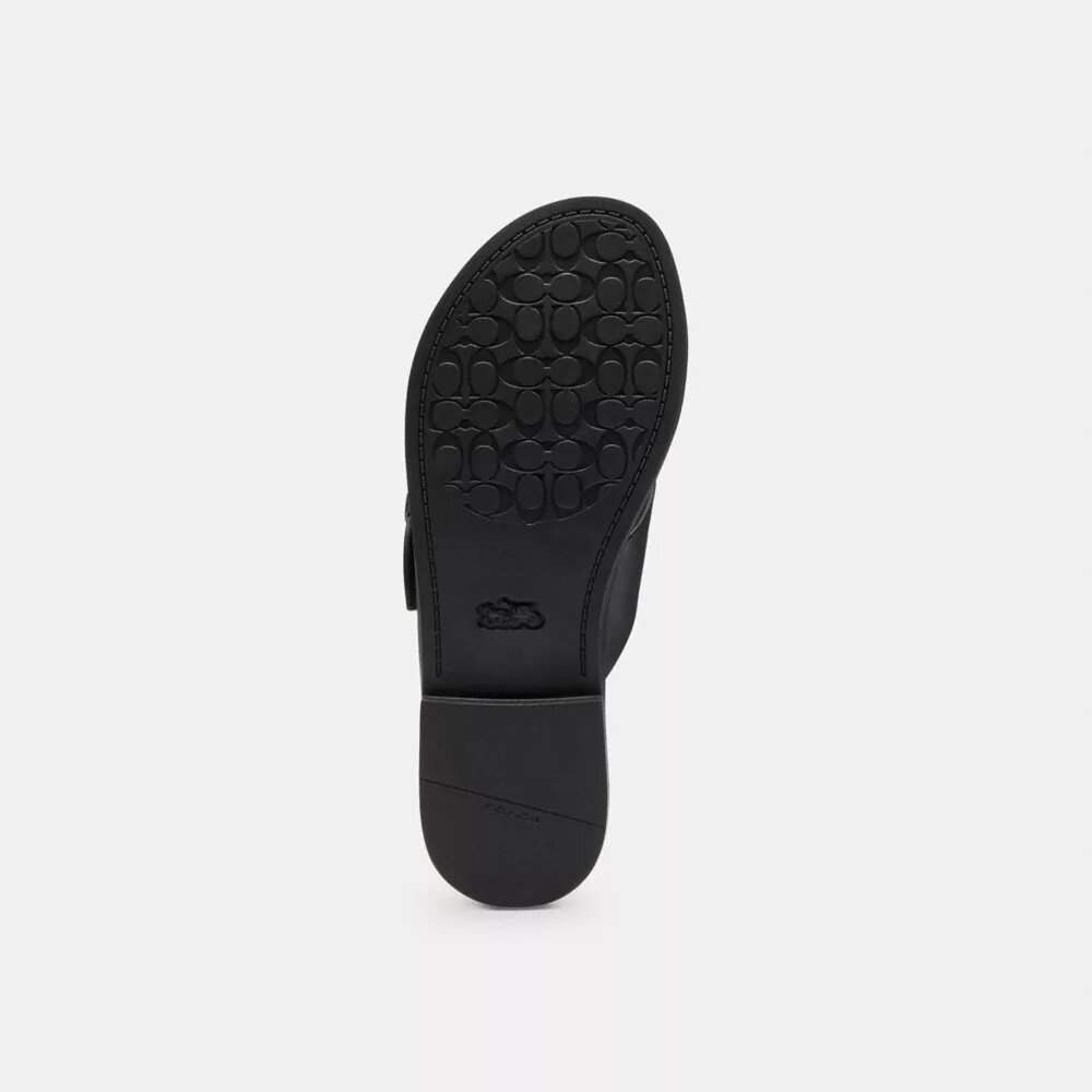 Crisscross Buckle Sandal