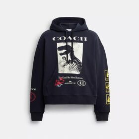 Dinosaur Collage Relaxed Hoodie in Organic Cotton