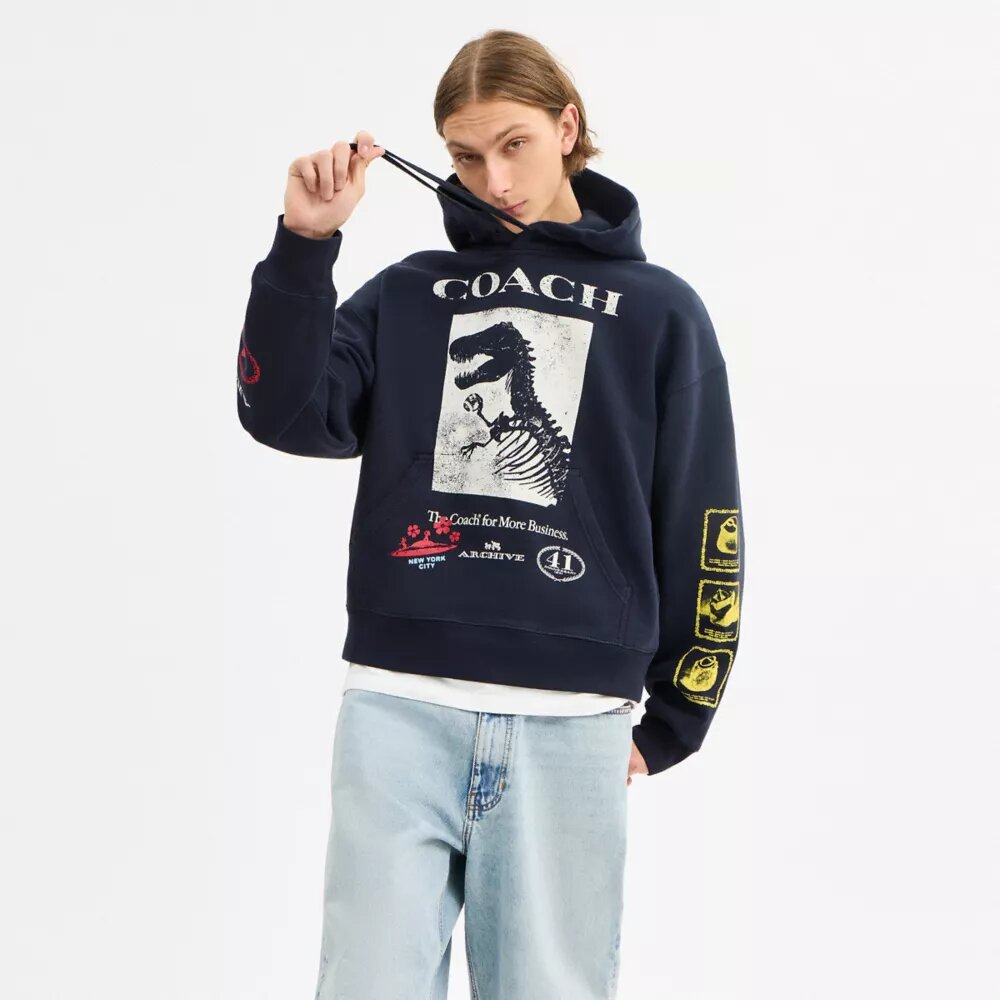 Dinosaur Collage Relaxed Hoodie in Organic Cotton