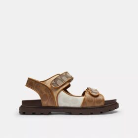 Double Strap Sandal in Signature