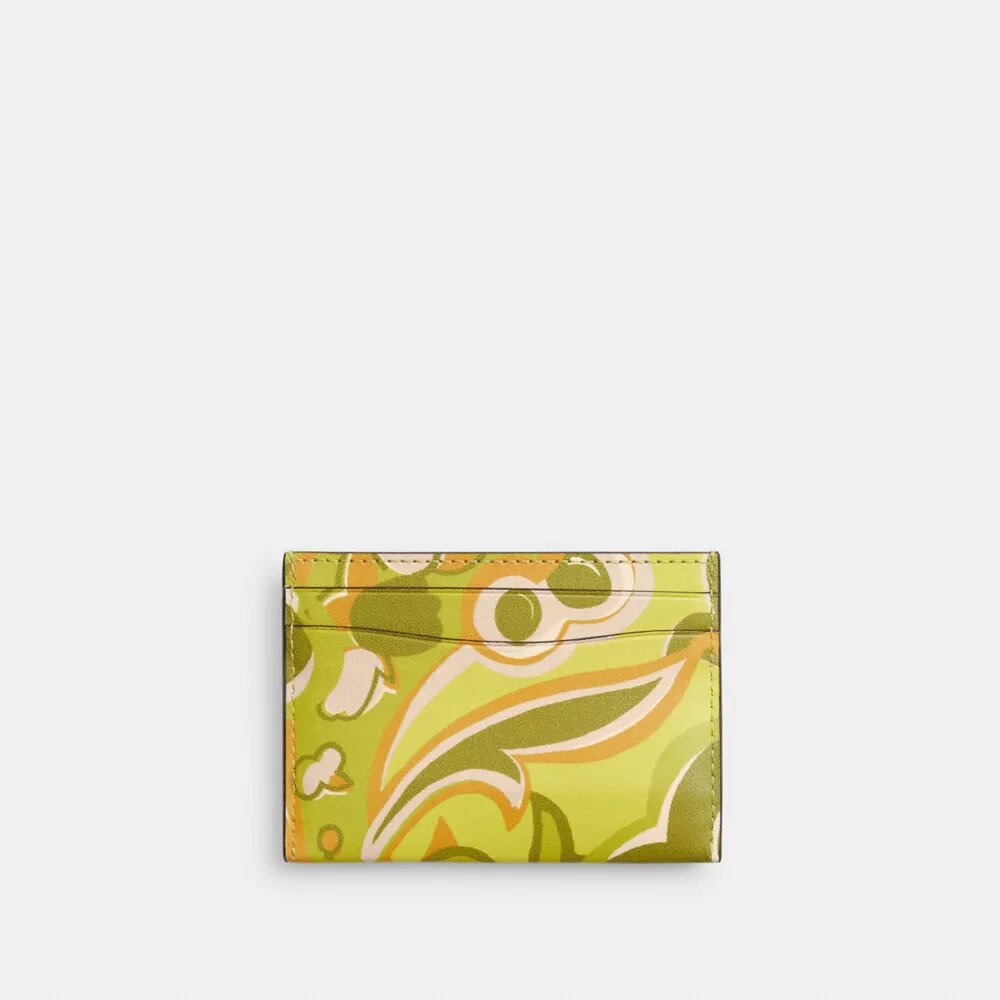 Essential Card Case with Paisley Print