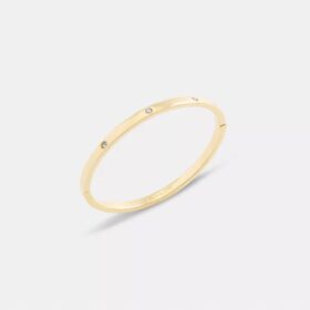 Essential Hinged Bangle