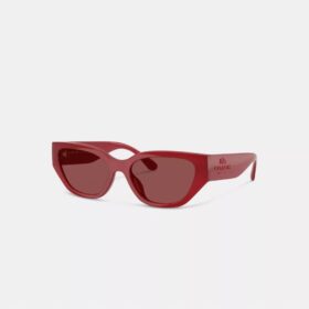 Geometric Cat Eye Sunglasses