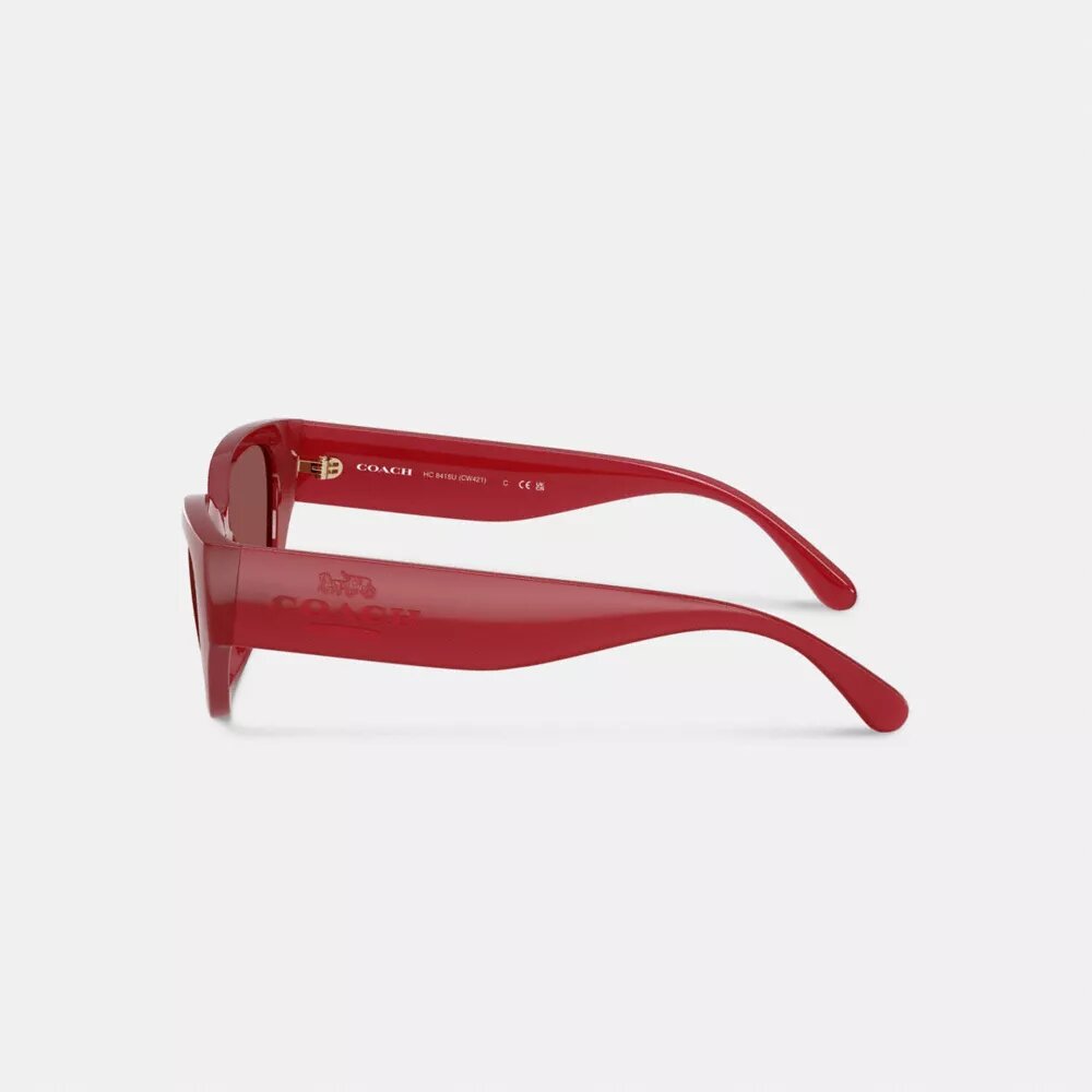 Geometric Cat Eye Sunglasses