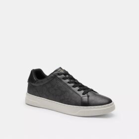 High Line Sneaker in Signature Canvas