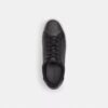 High Line Sneaker in Signature Canvas