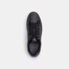 High Line Sneaker in Signature Canvas