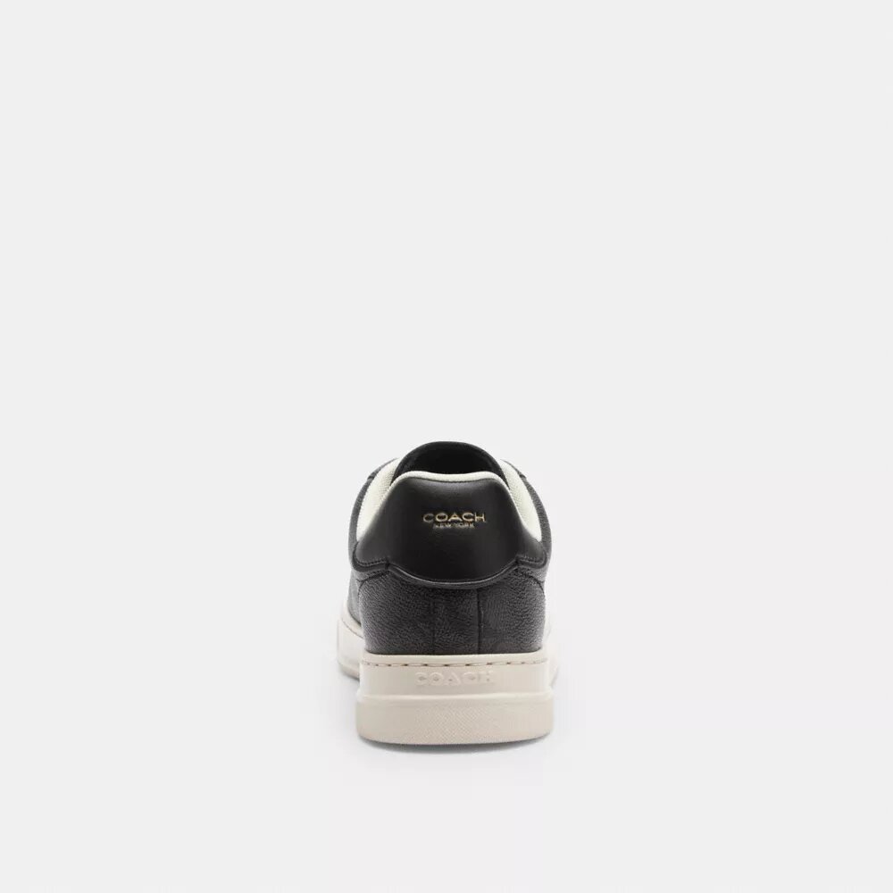 High Line Sneaker in Signature Canvas