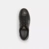 High Line Sneaker with Sketch Print