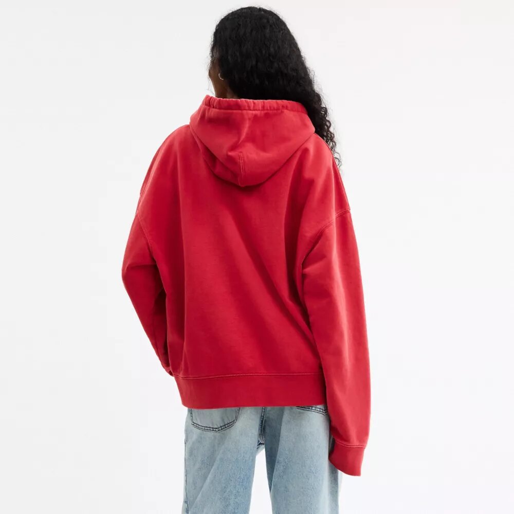 Horse and Carriage Hoodie