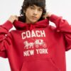 Horse and Carriage Hoodie