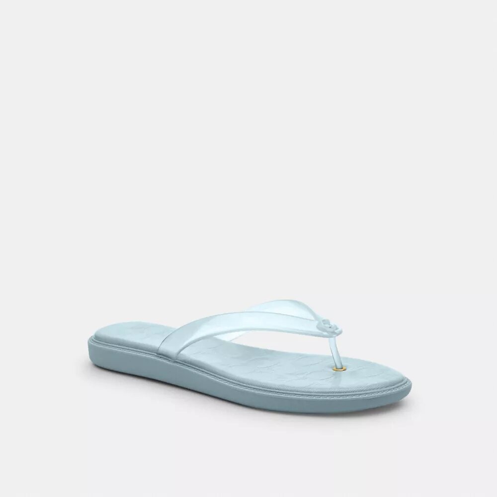 Jelly Flip Flop in Signature