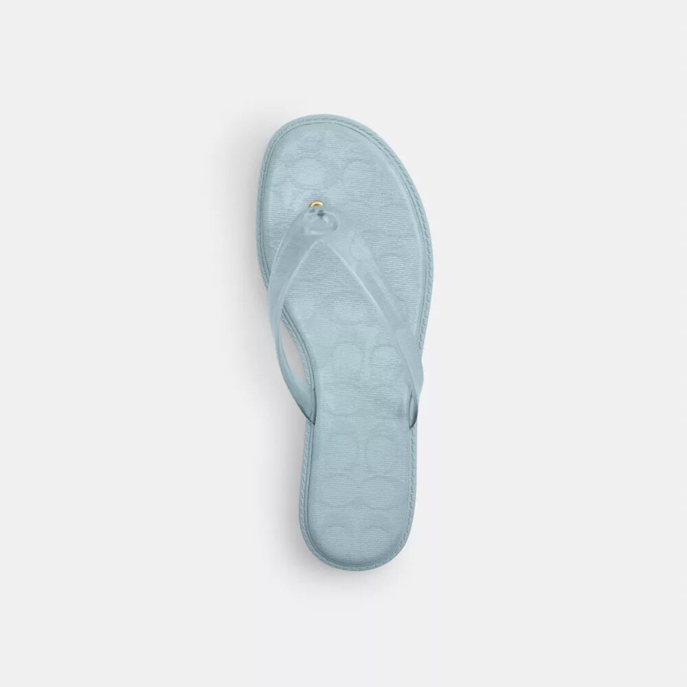 Jelly Flip Flop in Signature