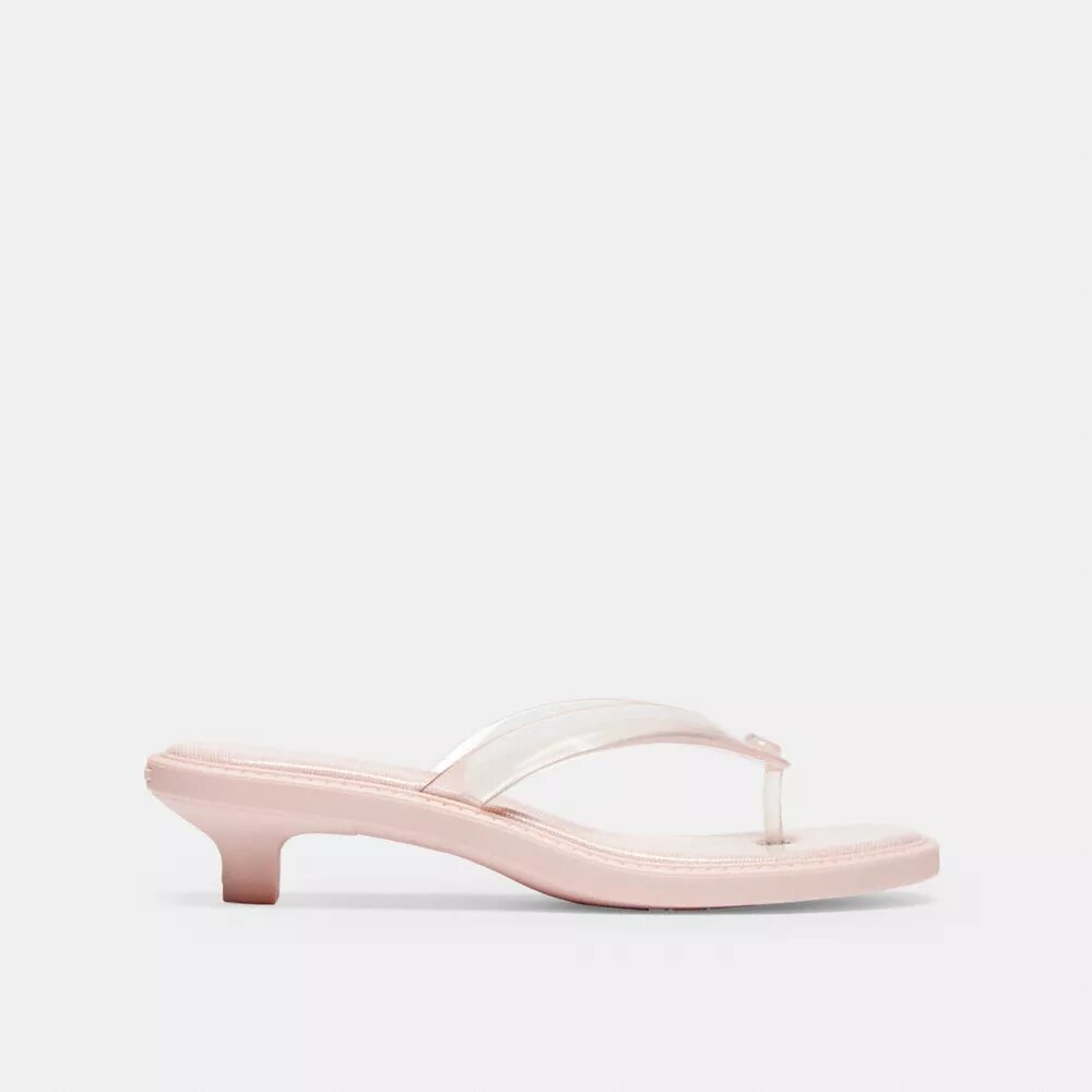 Jelly Thong Sandal in Signature