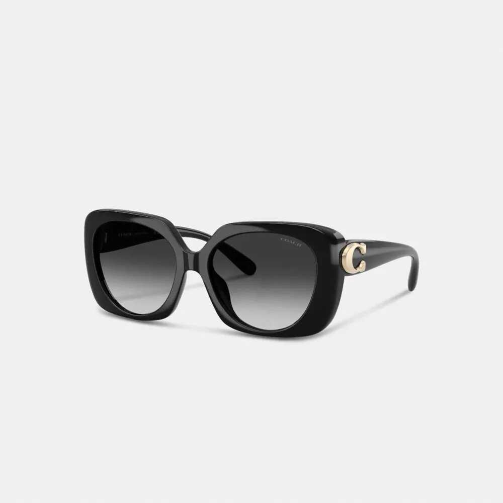 Maxi Sculpted C Oversized Square Sunglasses