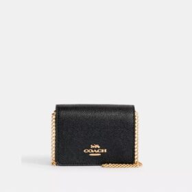 Mini Wallet on a Chain