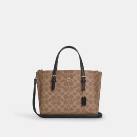 Mollie Tote Bag 25 in Signature Canvas