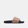 Pool Slide in Signature Canvas