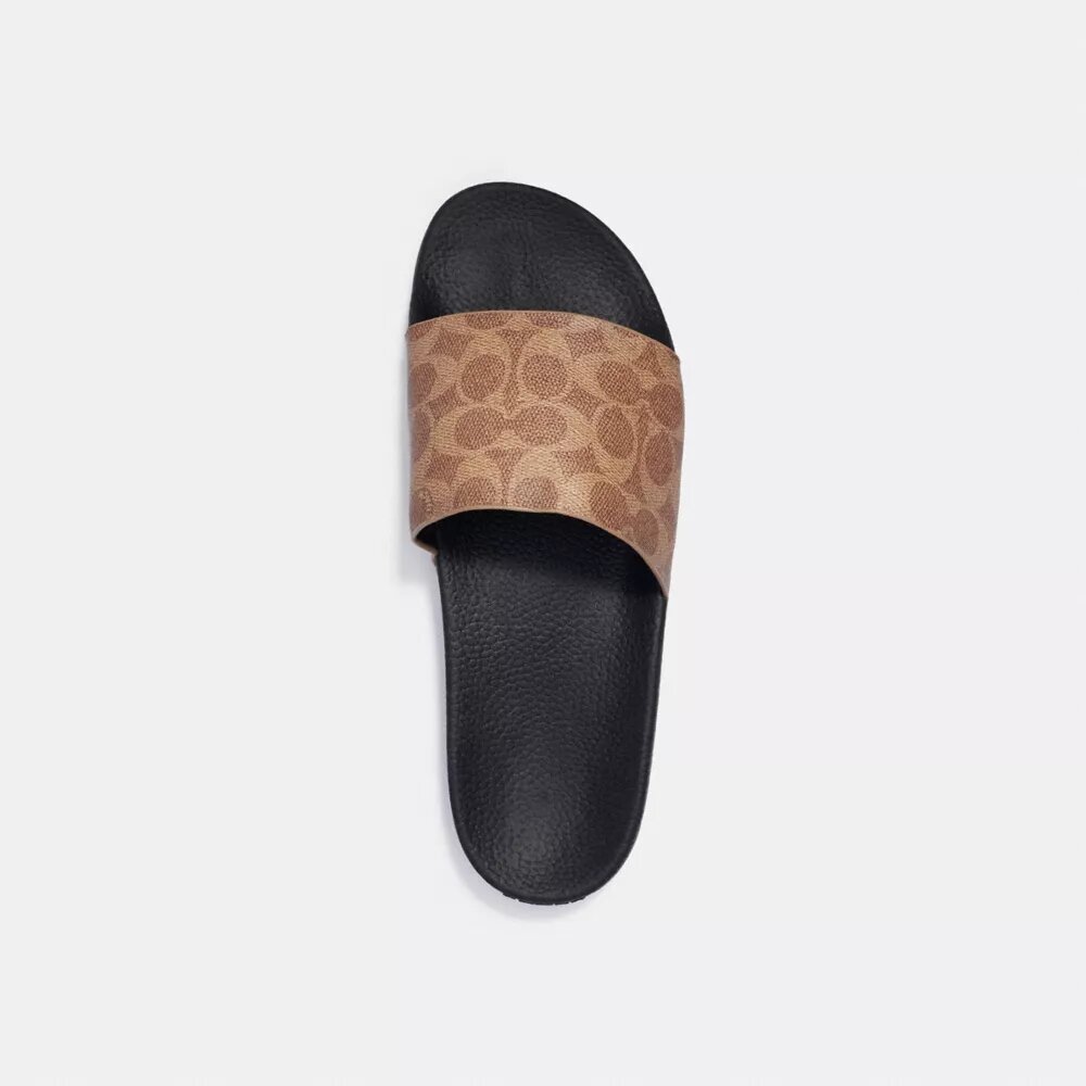 Pool Slide in Signature Canvas