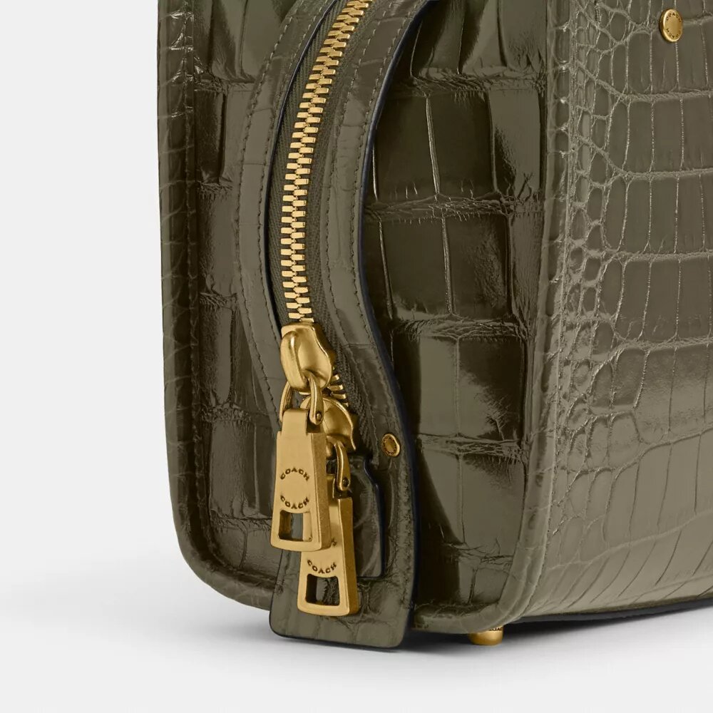 Rogue 20 in Alligator