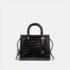 Rogue Bag 25 in Alligator