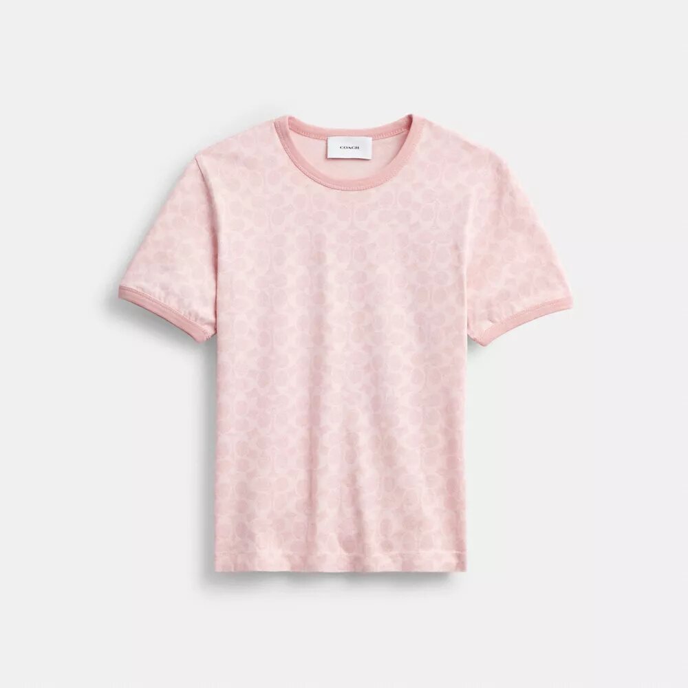 Signature Ringer T-Shirt in Organic Cotton