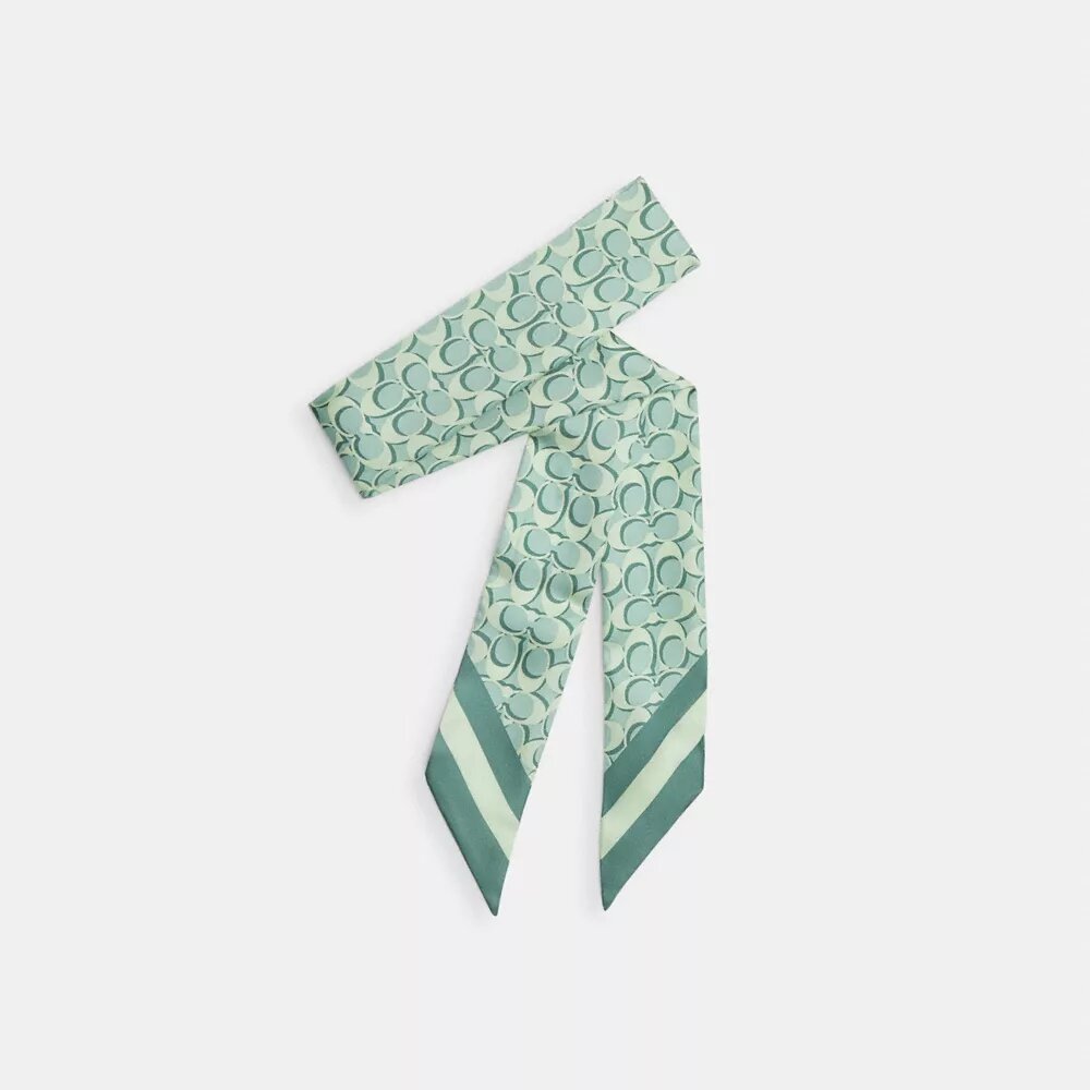 Signature Silk Skinny Scarf