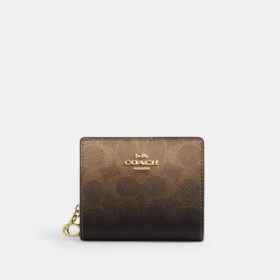 Snap Wallet in Ombre Signature Canvas