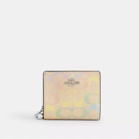 Snap Wallet in Rainbow Signature Canvas