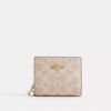 Snap Wallet in Signature Canvas