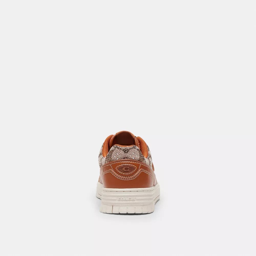 Soho Sneaker in Crystal Signature Jacquard