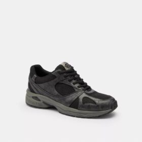 Sport Sneaker in Signature Canvas