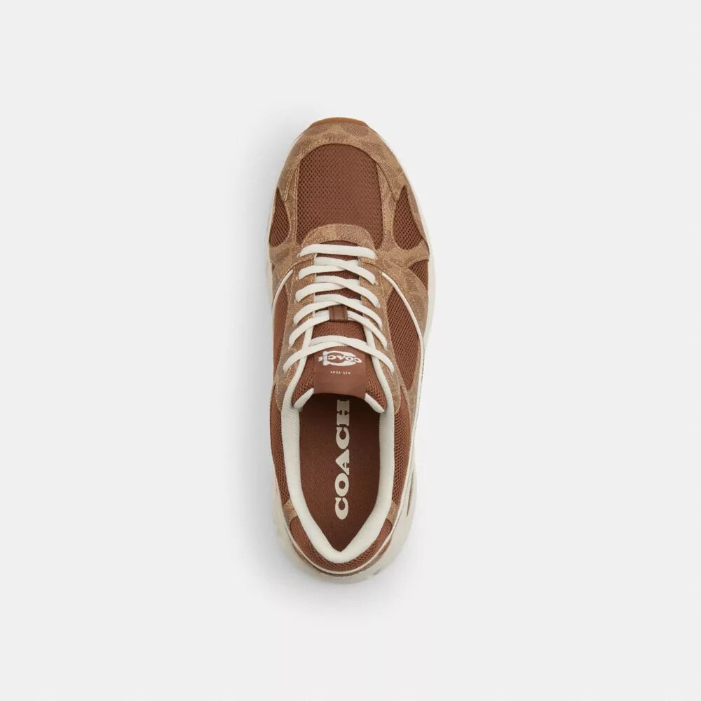 Sport Sneaker in Signature Canvas